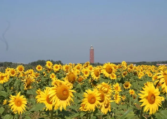 Huijsmans Verhuur Type B Deluxe Deltageul 12 * Ouddorp